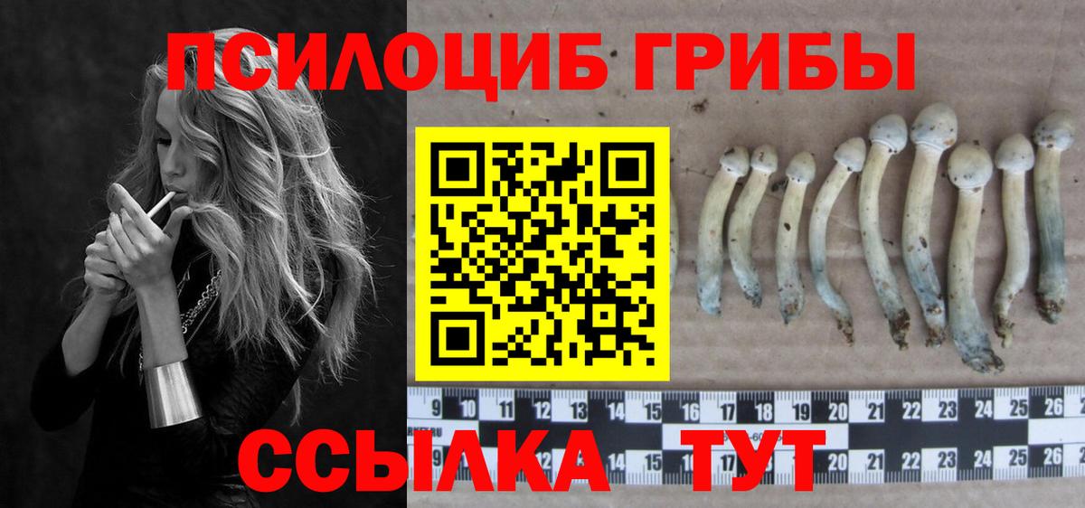Галлюциногенные грибы Cubensis  Галлюциногенные грибы Psilocybine cubensis  Нефтеюганск  Вход с VPN 